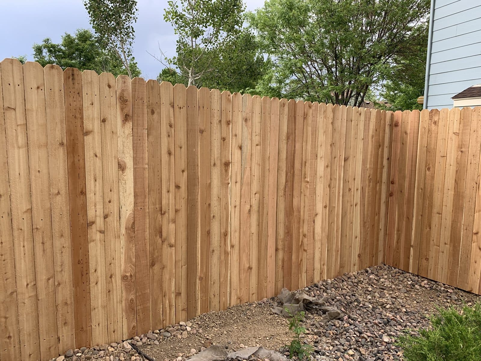 Cedar dog-ear privacy fence